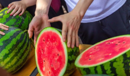 河南技术学院吃瓜爆料,揭秘校园风云事件